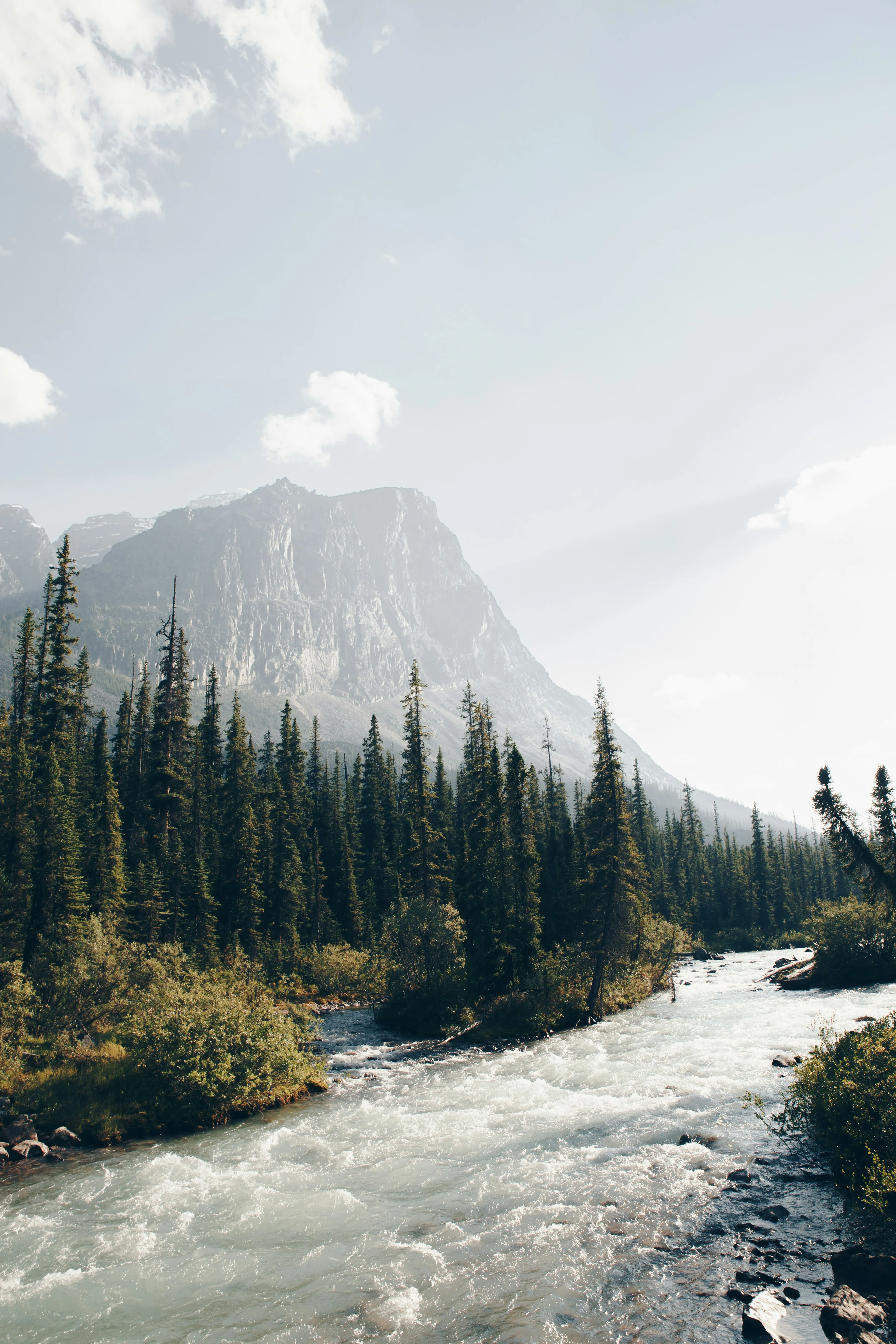 A turquoise river winding through evergreen forest below a Rocky Mountain cliff